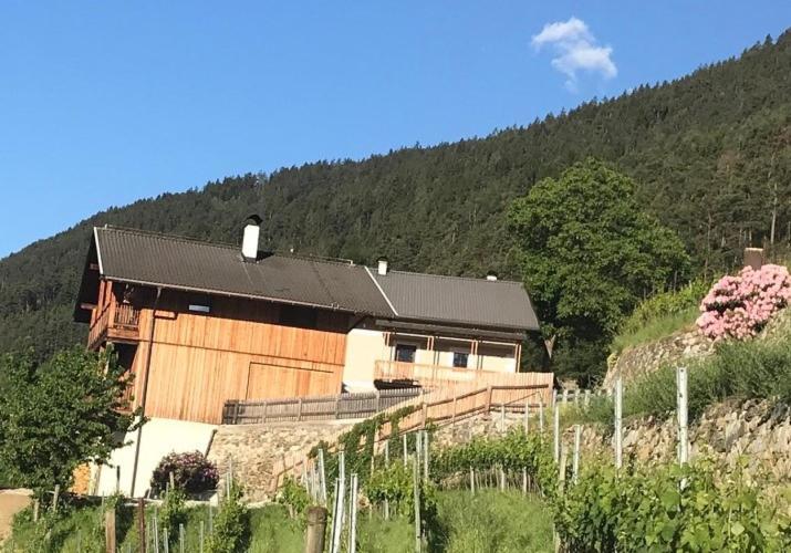Maso Fallmerayer - Fallmerayerhof Brixen Exteriér fotografie