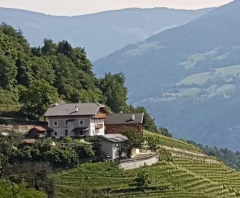 Maso Fallmerayer - Fallmerayerhof Brixen Exteriér fotografie