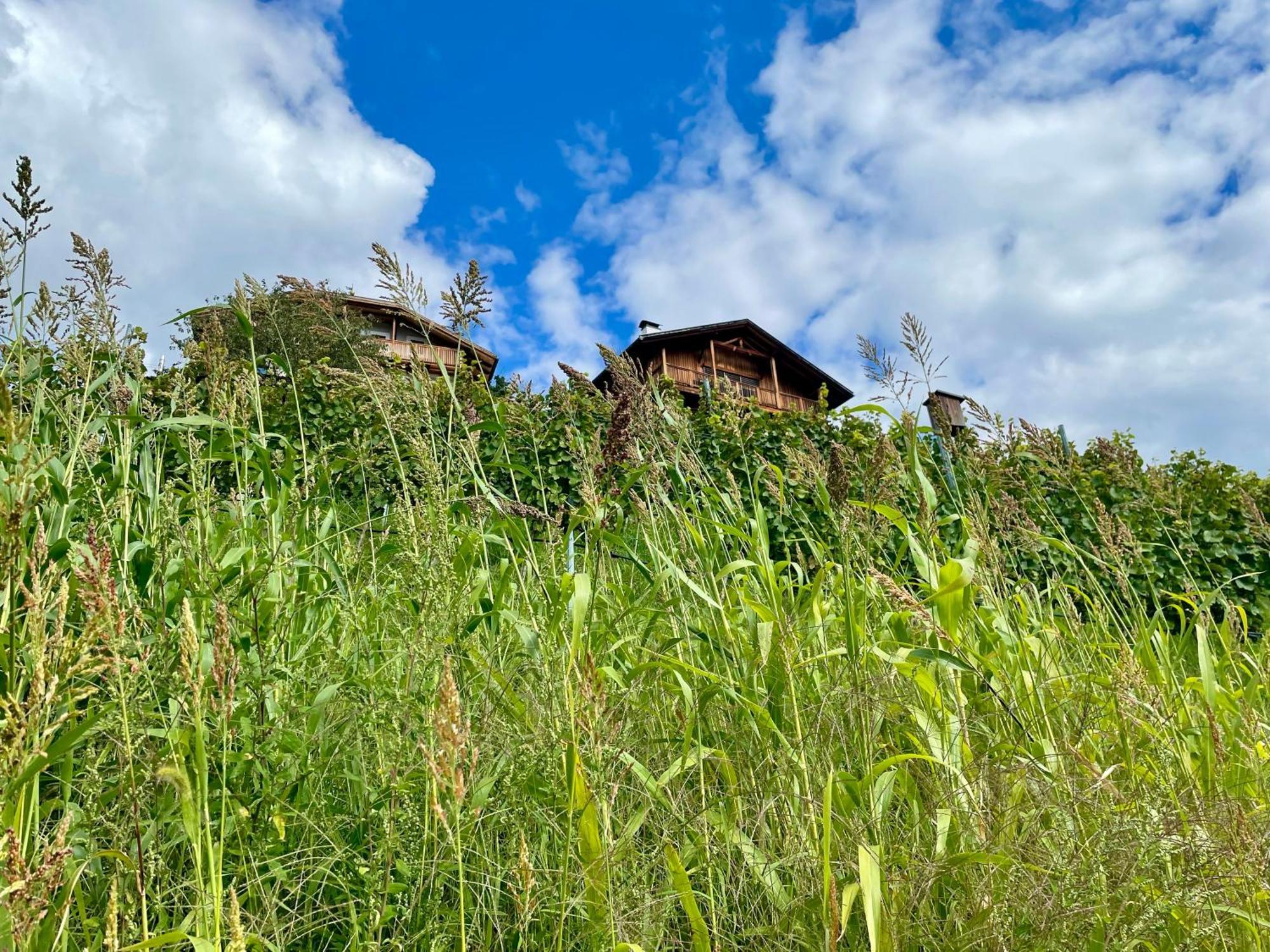 Maso Fallmerayer - Fallmerayerhof Brixen Exteriér fotografie